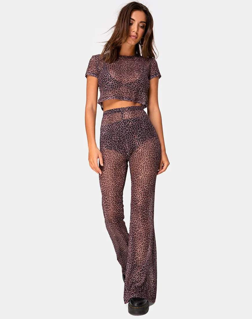 Herlom Flare Trouser in Rar Leopard Mesh