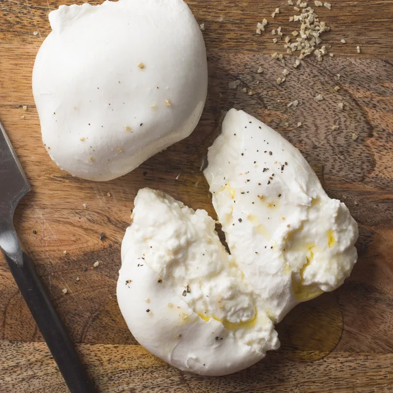 Plain Burrata